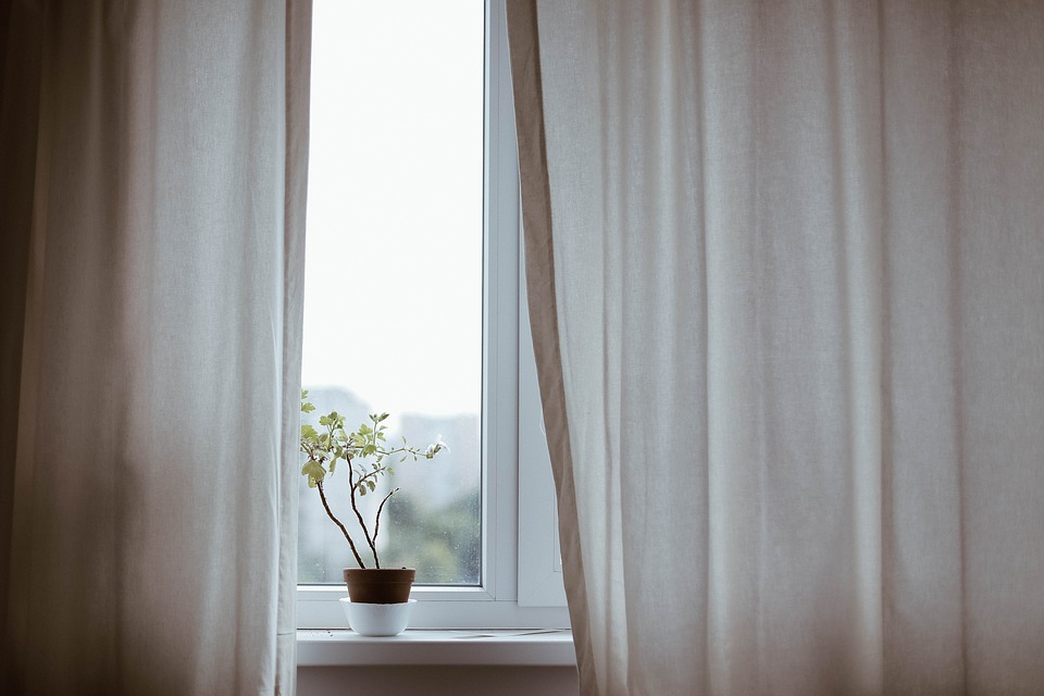Curtains against a window with a flower